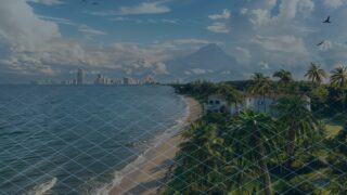 Scenic tropical beach featuring lush palm trees and a distant city skyline under a partly cloudy sky.